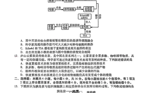 2025届江西省九江市高三二模考试生物试题（扫描版有答案）_2025年3月_250330江西省九江市2025年第二次高考模拟统一考试（全科）_江西省九江市2025年第二次高考模拟统一考试生物