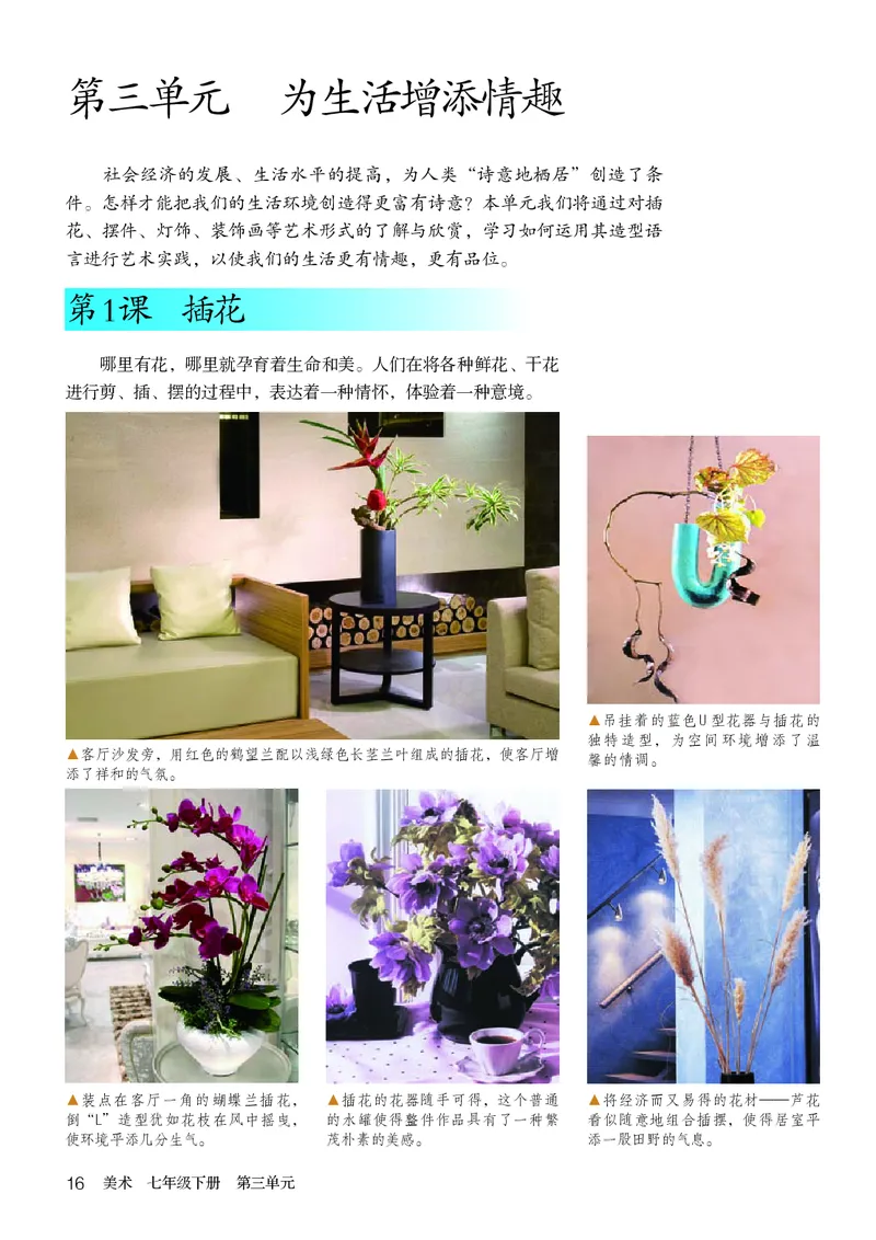 鲁教版7年级美术下册高清教材_4-教培资料-26年最新资料-同步更新_初中高中教资_03科三专项（进去保存报考的学科即可）_02科三专项（笔记真题思维导图教学设计版本二）