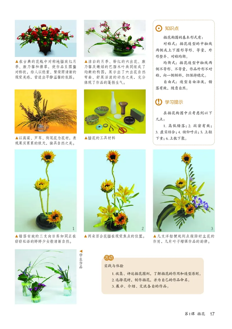 鲁教版7年级美术下册高清教材_4-教培资料-26年最新资料-同步更新_初中高中教资_03科三专项（进去保存报考的学科即可）_02科三专项（笔记真题思维导图教学设计版本二）