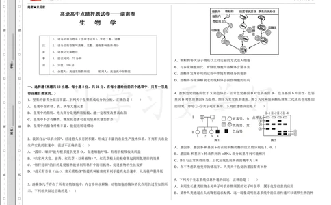 (8.24)-点睛押题卷&mdash;&mdash;湖南卷_2024高考押题卷_132024高途全系列_26高途点睛卷_2024点睛密卷-生物