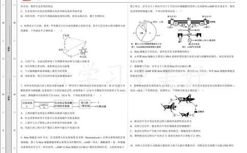 (8.24)-点睛押题卷&mdash;&mdash;湖南卷_2024高考押题卷_132024高途全系列_26高途点睛卷_2024点睛密卷-生物