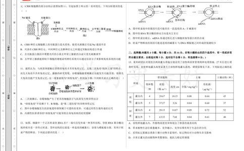 (8.24)-点睛押题卷&mdash;&mdash;湖南卷_2024高考押题卷_132024高途全系列_26高途点睛卷_2024点睛密卷-生物
