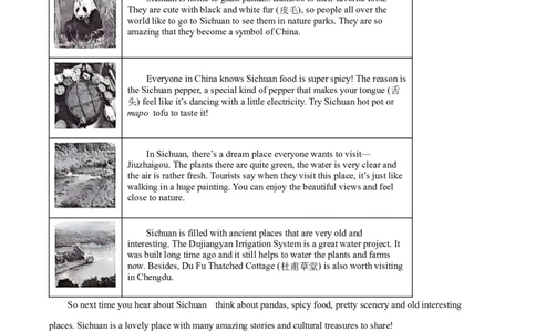 精品解析：2024年四川省宜宾市中考英语真题（原卷版）_中考真题_3.英语中考真题2015-2024年_2024中考英语真题_精品解析：2024年四川省宜宾市中考英语真题