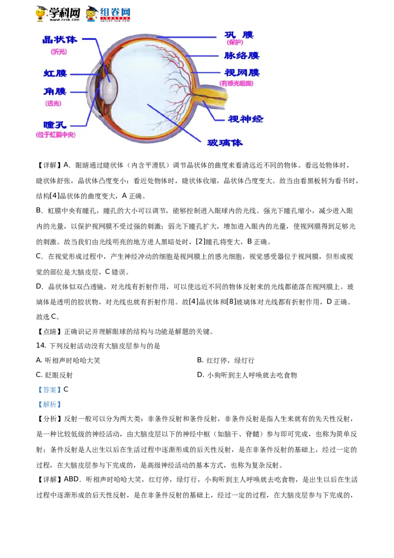 精品解析：山东省聊城市2021年中考生物试题（解析版）_中考真题_8.生物中考真题2015-2024年_地区卷_山东省_山东聊城生物10-22