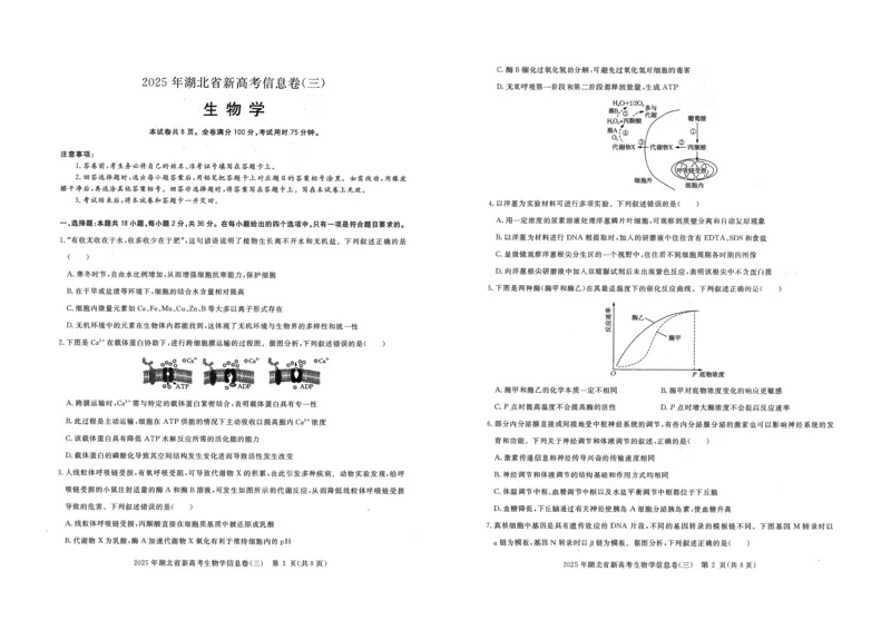 2025年湖北省新高考信息卷（三）生物_2025年5月_2505162025年湖北省新高考信息卷（三）（全科）