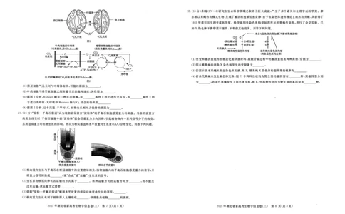 2025年湖北省新高考信息卷（三）生物_2025年5月_2505162025年湖北省新高考信息卷（三）（全科）