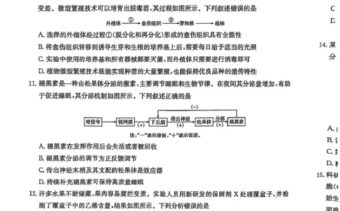 2025届陕西省商洛市高三第二次模拟生物试卷_2025年2月_250228陕西省商洛市2025届高三第二次模拟考试（金太阳358C）（全科）_陕西省商洛市2025届高三第二次模拟考试生物学