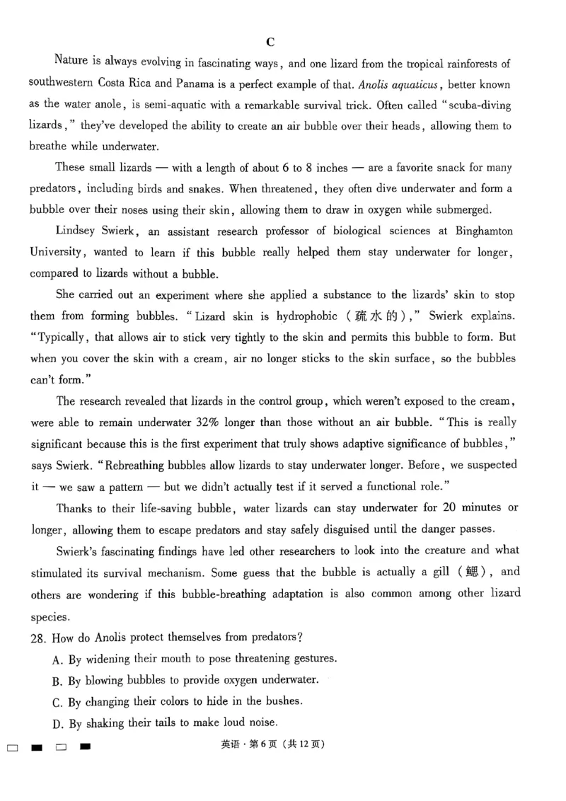 云南师范大学附属中学2025届高三下学期开学考试英语_2025年2月_250220云南师范大学附属中学2025届高三下学期开学考试（月考八）（全科）