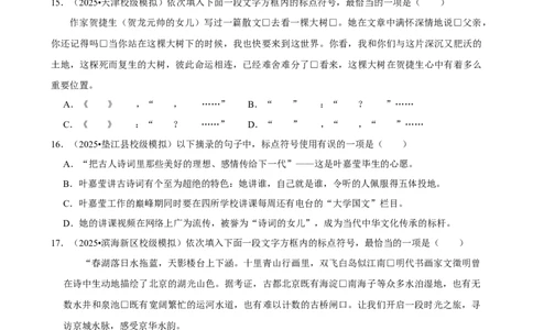 2026年中考语文常考考点专题之标点符号_162026年中考七科常考考点专题资料_001中考语文常考考点专题