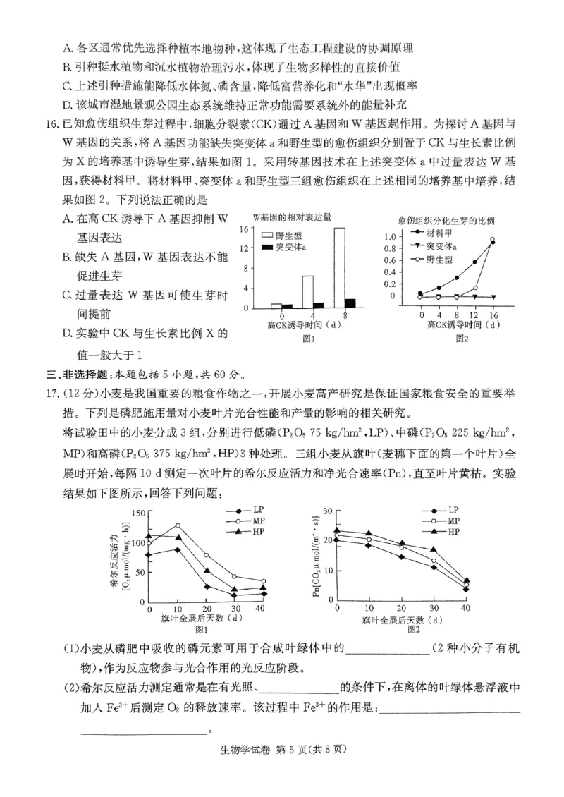 2025湖南20校一联-生物_2025年3月_2503012025届湖南省新高考教学教研联盟第一次联考_2025届湖南省新高考教学教研联盟第一次联考生物试卷（湖南省一联）（PDF版，含解析）