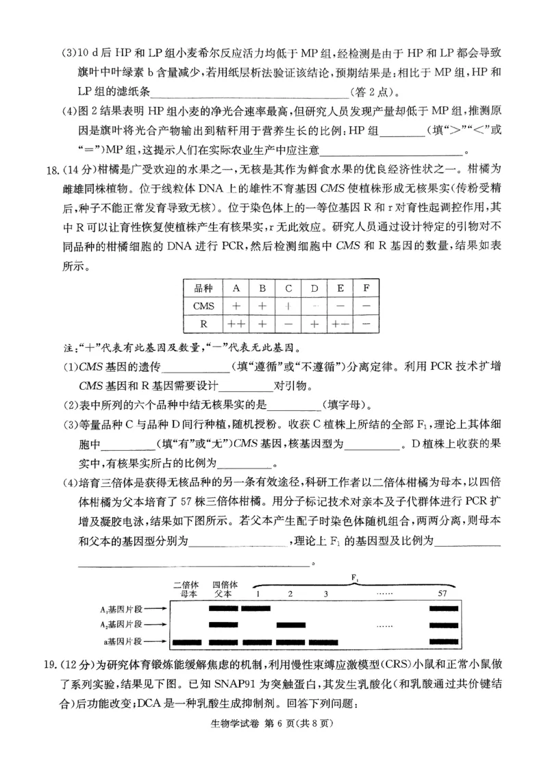 2025湖南20校一联-生物_2025年3月_2503012025届湖南省新高考教学教研联盟第一次联考_2025届湖南省新高考教学教研联盟第一次联考生物试卷（湖南省一联）（PDF版，含解析）