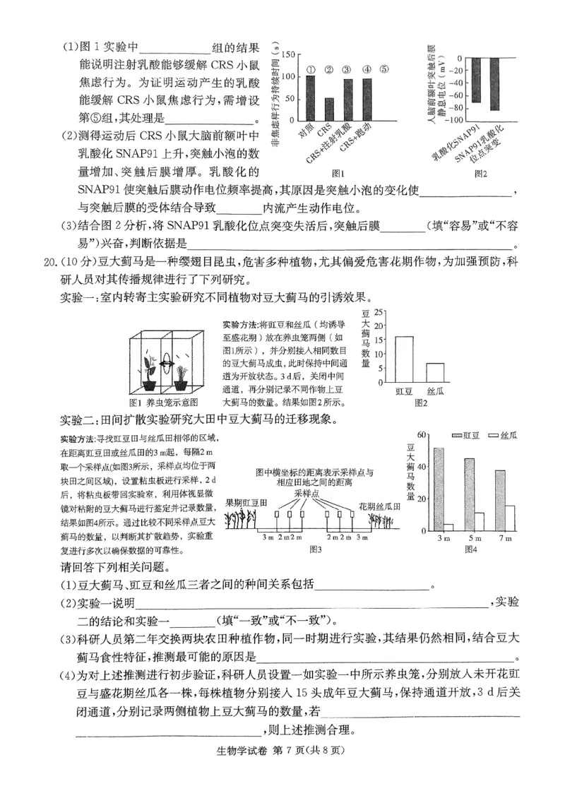 2025湖南20校一联-生物_2025年3月_2503012025届湖南省新高考教学教研联盟第一次联考_2025届湖南省新高考教学教研联盟第一次联考生物试卷（湖南省一联）（PDF版，含解析）
