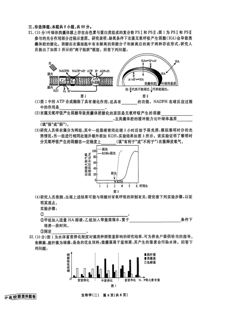 2025届辽宁省名校联盟高三下学期高考模拟卷押题卷生物学（二）试题_2025年5月_250506辽宁省名校联盟2025年高考模拟卷押题卷（数物化生）