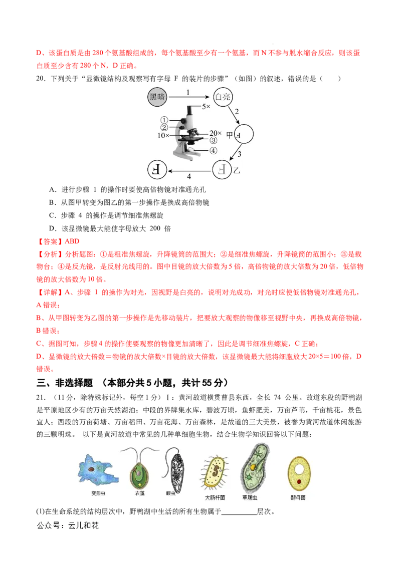 高一生物期中模拟卷03（全解全析）（新高考通用）_1多考区联考试卷_1014高一期中模拟卷（新高考通用）黄金卷：2024-2025学年高一上学期期中模拟考试
