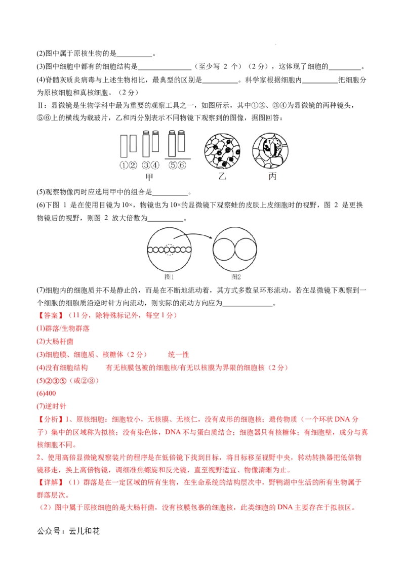 高一生物期中模拟卷03（全解全析）（新高考通用）_1多考区联考试卷_1014高一期中模拟卷（新高考通用）黄金卷：2024-2025学年高一上学期期中模拟考试