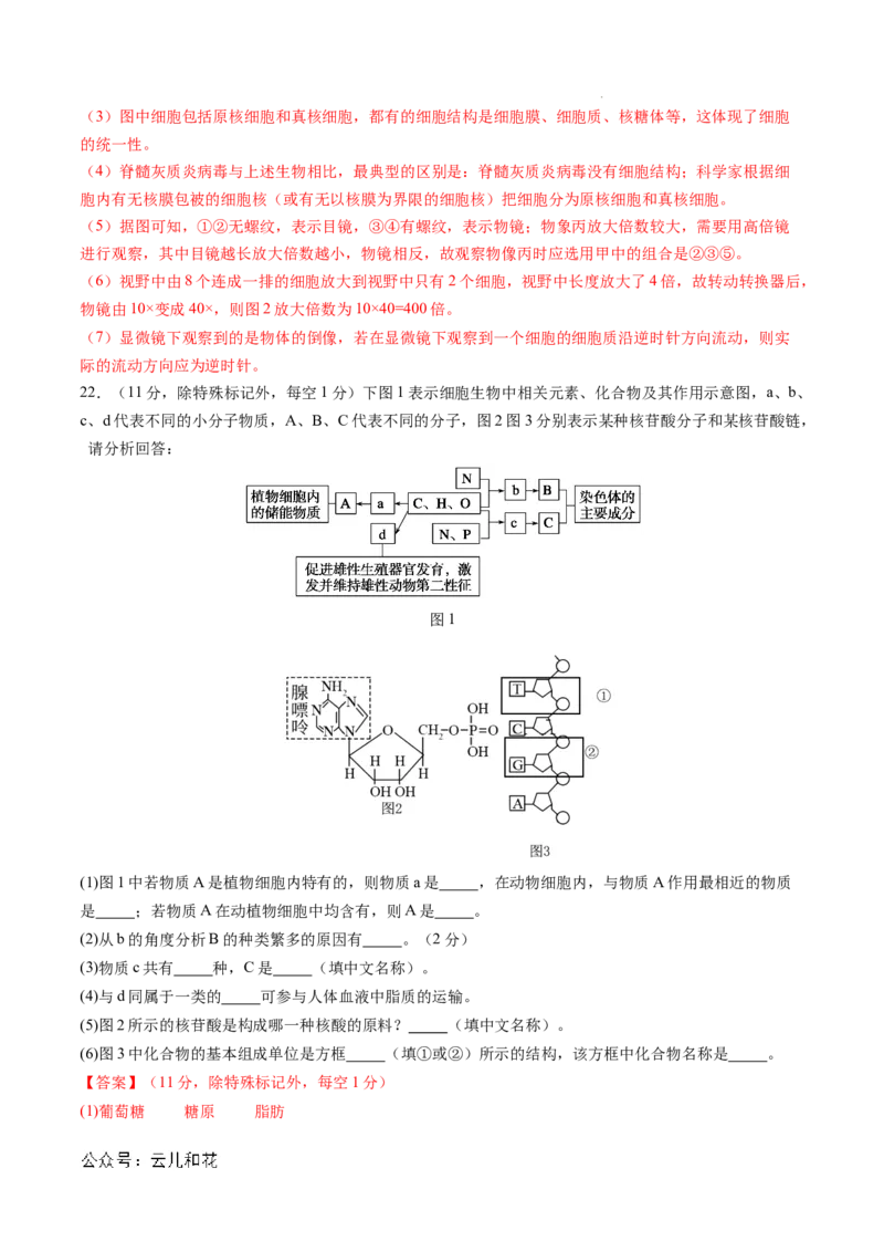 高一生物期中模拟卷03（全解全析）（新高考通用）_1多考区联考试卷_1014高一期中模拟卷（新高考通用）黄金卷：2024-2025学年高一上学期期中模拟考试