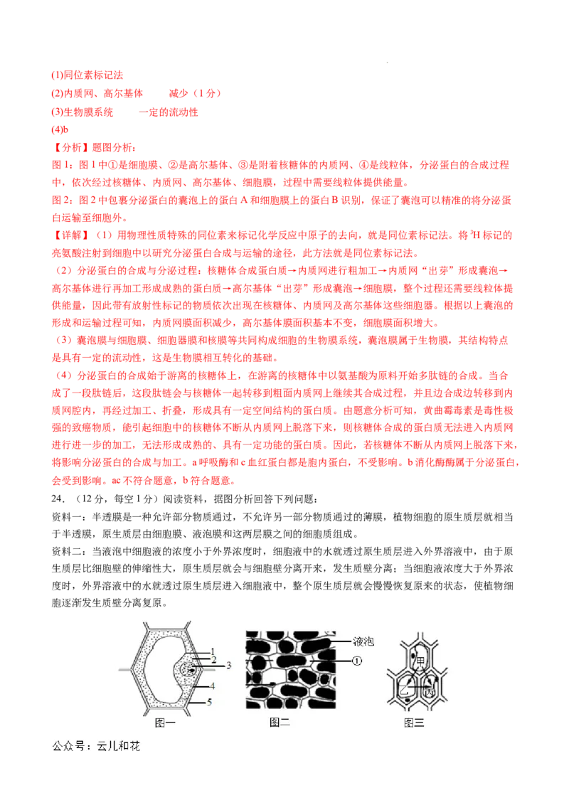 高一生物期中模拟卷03（全解全析）（新高考通用）_1多考区联考试卷_1014高一期中模拟卷（新高考通用）黄金卷：2024-2025学年高一上学期期中模拟考试