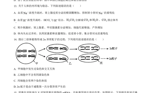 2025《高考真题&bull;江苏》生物试卷+答案_2025《全国高考真题卷》各地方卷_2025《高考真题&bull;江苏》