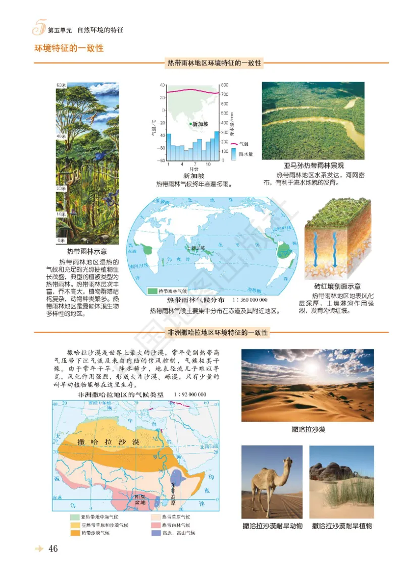 鲁教版地理选修第一册地理图册_4-教培资料-26年最新资料-同步更新_初中高中教资_03科三专项（进去保存报考的学科即可）_02科三专项（笔记真题思维导图教学设计版本二）