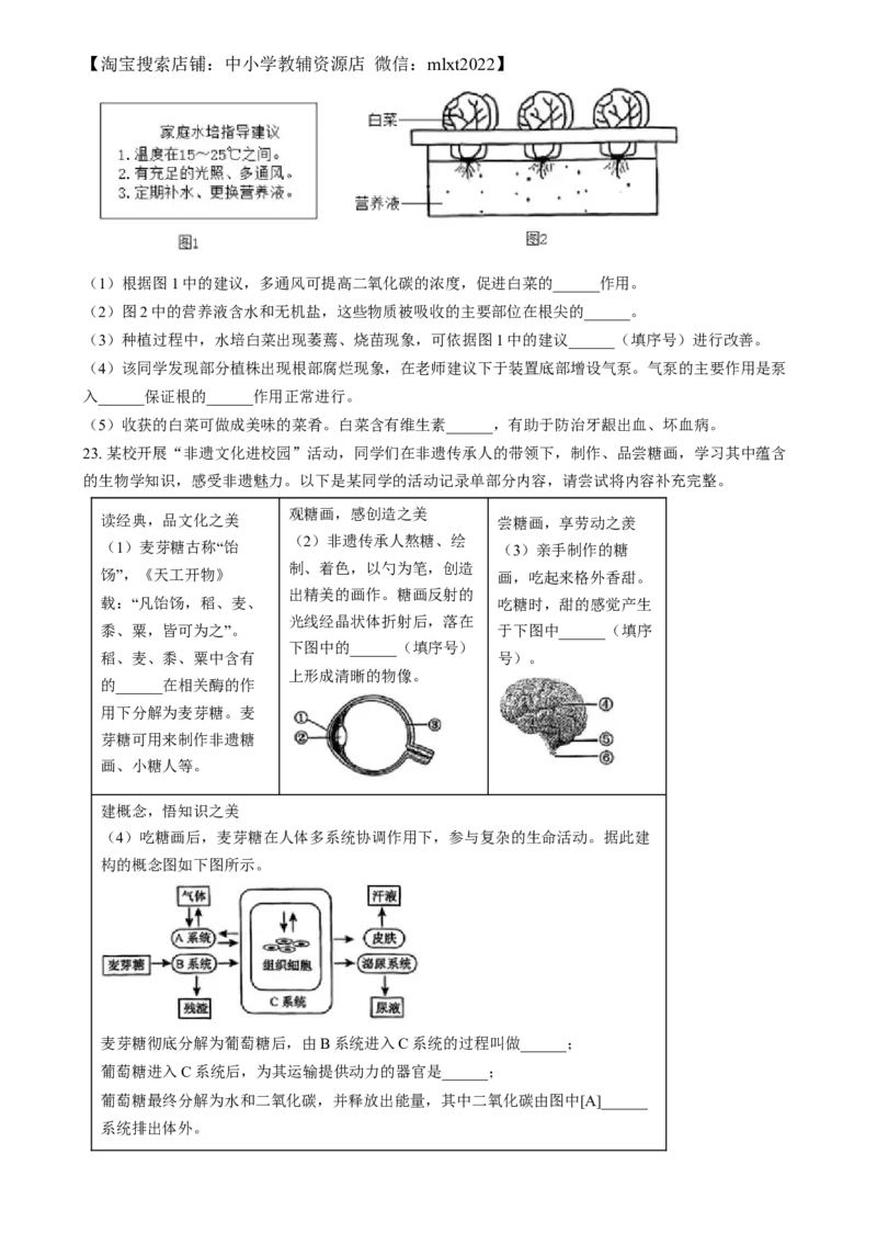 精品解析：2024年江西省中考生物真题（原卷版）_中考真题_8.生物中考真题2015-2024年_2024年中考生物真题_精品解析：2024年江西省中考生物真题