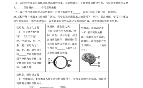 精品解析：2024年江西省中考生物真题（原卷版）_中考真题_8.生物中考真题2015-2024年_2024年中考生物真题_精品解析：2024年江西省中考生物真题