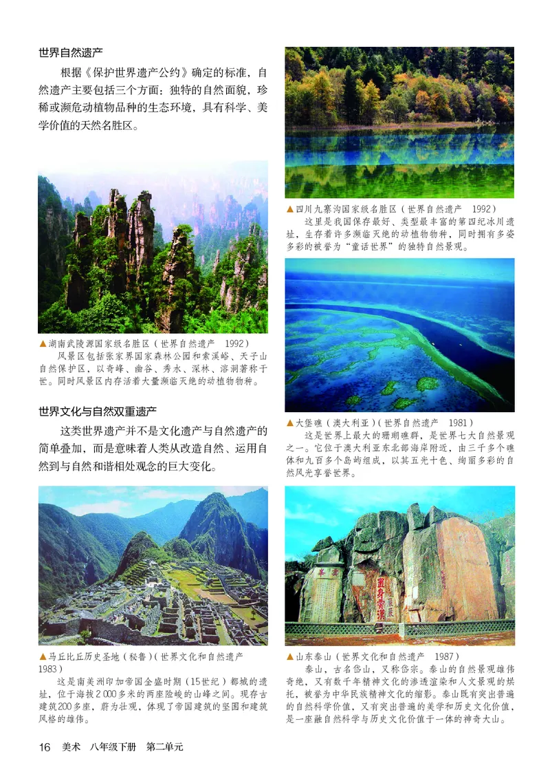 鲁教版8年级美术下册高清教材_4-教培资料-26年最新资料-同步更新_初中高中教资_03科三专项（进去保存报考的学科即可）_02科三专项（笔记真题思维导图教学设计版本二）