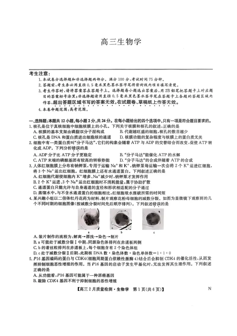 九师联盟2025届高三2月质量检测生物试题+答案_2025年2月_250228九师联盟2025届高三2月质量检测（2.27-2(1).28）（全科）