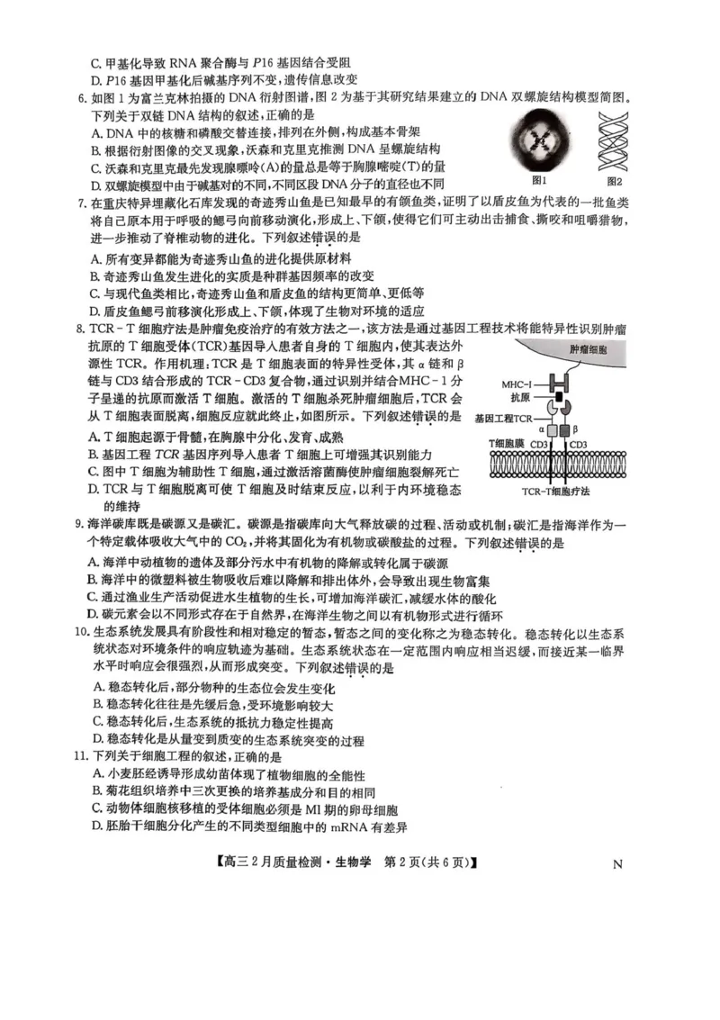 九师联盟2025届高三2月质量检测生物试题+答案_2025年2月_250228九师联盟2025届高三2月质量检测（2.27-2(1).28）（全科）