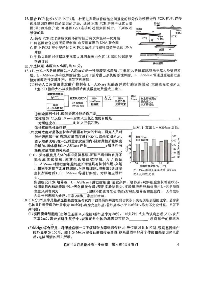 九师联盟2025届高三2月质量检测生物试题+答案_2025年2月_250228九师联盟2025届高三2月质量检测（2.27-2(1).28）（全科）