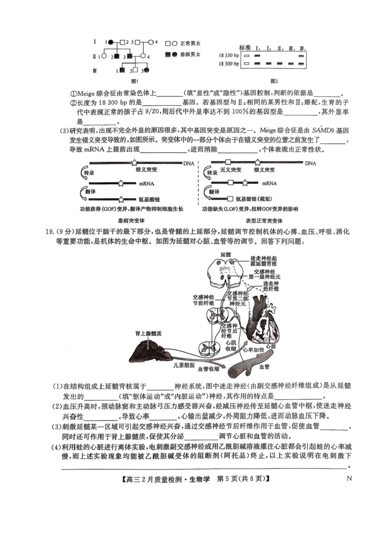 九师联盟2025届高三2月质量检测生物试题+答案_2025年2月_250228九师联盟2025届高三2月质量检测（2.27-2(1).28）（全科）