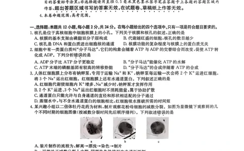 九师联盟2025届高三2月质量检测生物试题+答案_2025年2月_250228九师联盟2025届高三2月质量检测（2.27-2(1).28）（全科）