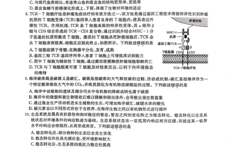 九师联盟2025届高三2月质量检测生物试题+答案_2025年2月_250228九师联盟2025届高三2月质量检测（2.27-2(1).28）（全科）