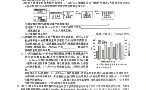 九师联盟2025届高三2月质量检测生物试题+答案_2025年2月_250228九师联盟2025届高三2月质量检测（2.27-2(1).28）（全科）