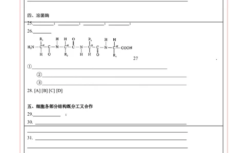 高一生物期中模拟卷（答题卡）（上海专用）_1多考区联考试卷_1021高一期中模拟卷（上海专用）黄金卷：2024-2025学年高一上学期期中模拟考试