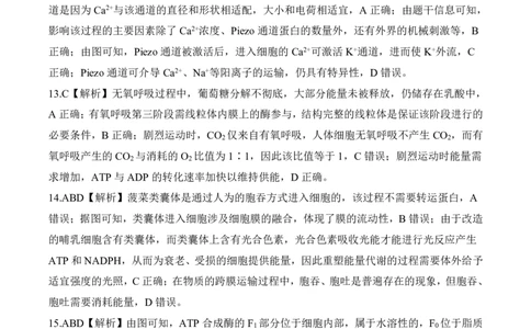 一轮一河北（H）生物答案_2025年10月_2510182026届百师联盟高三上学期第一次调研考试（10月）（全科）_2026届百师联盟高三上学期第一次调研考试生物试卷（含答案）