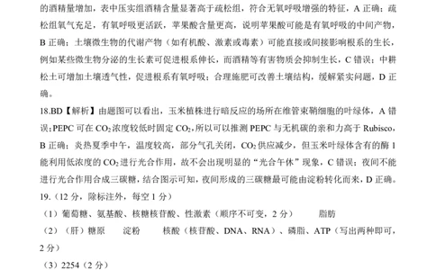一轮一河北（H）生物答案_2025年10月_2510182026届百师联盟高三上学期第一次调研考试（10月）（全科）_2026届百师联盟高三上学期第一次调研考试生物试卷（含答案）