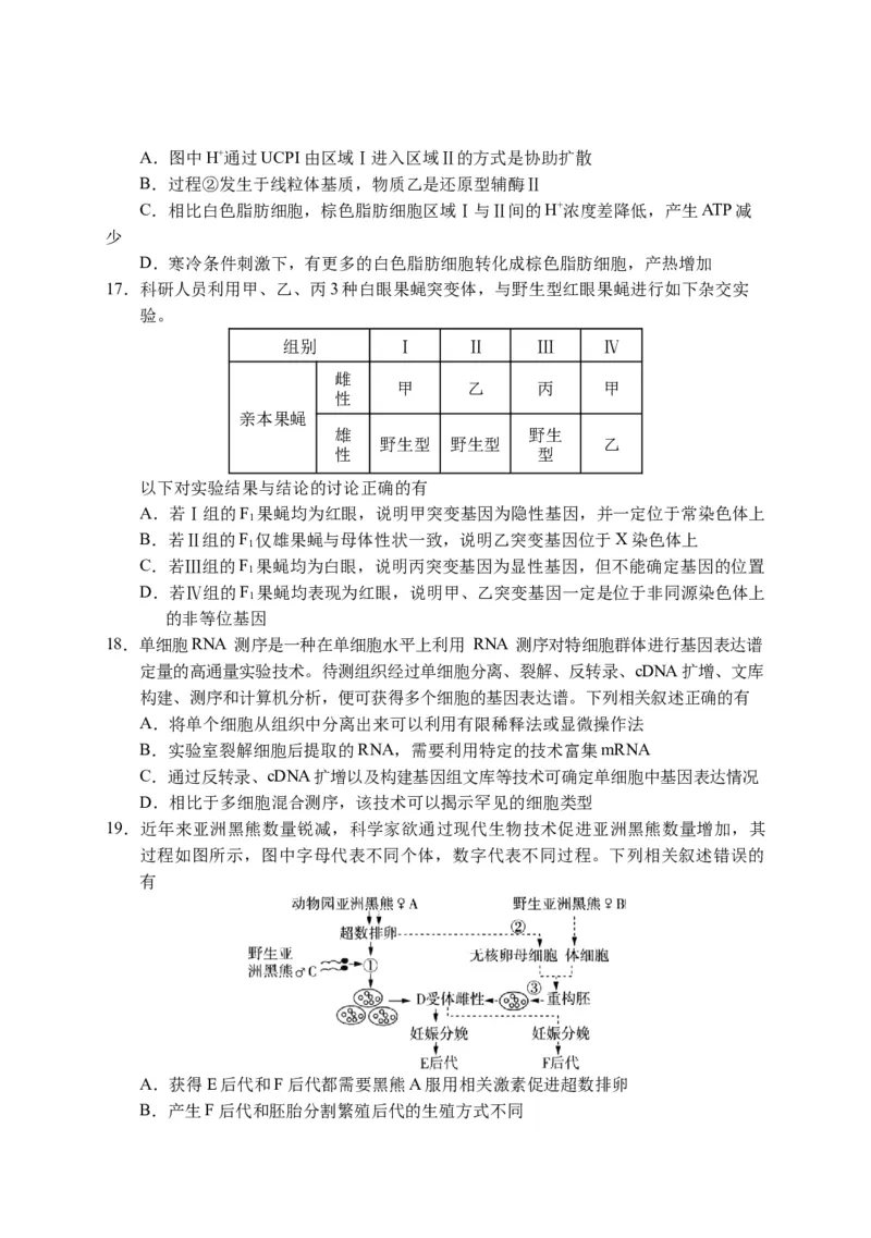 2025届江苏省盐城市高三考前指导卷生物试卷（有答案）_2025年5月_2505262025届江苏省盐城市高三考前指导卷（押题）（全科）