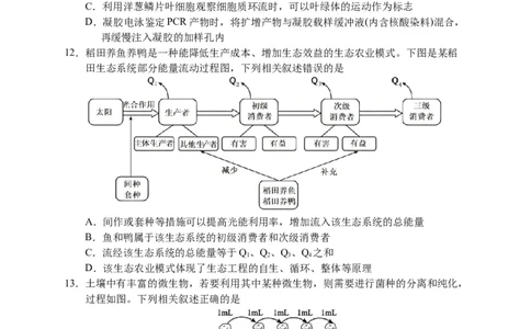 2025届江苏省盐城市高三考前指导卷生物试卷（有答案）_2025年5月_2505262025届江苏省盐城市高三考前指导卷（押题）（全科）