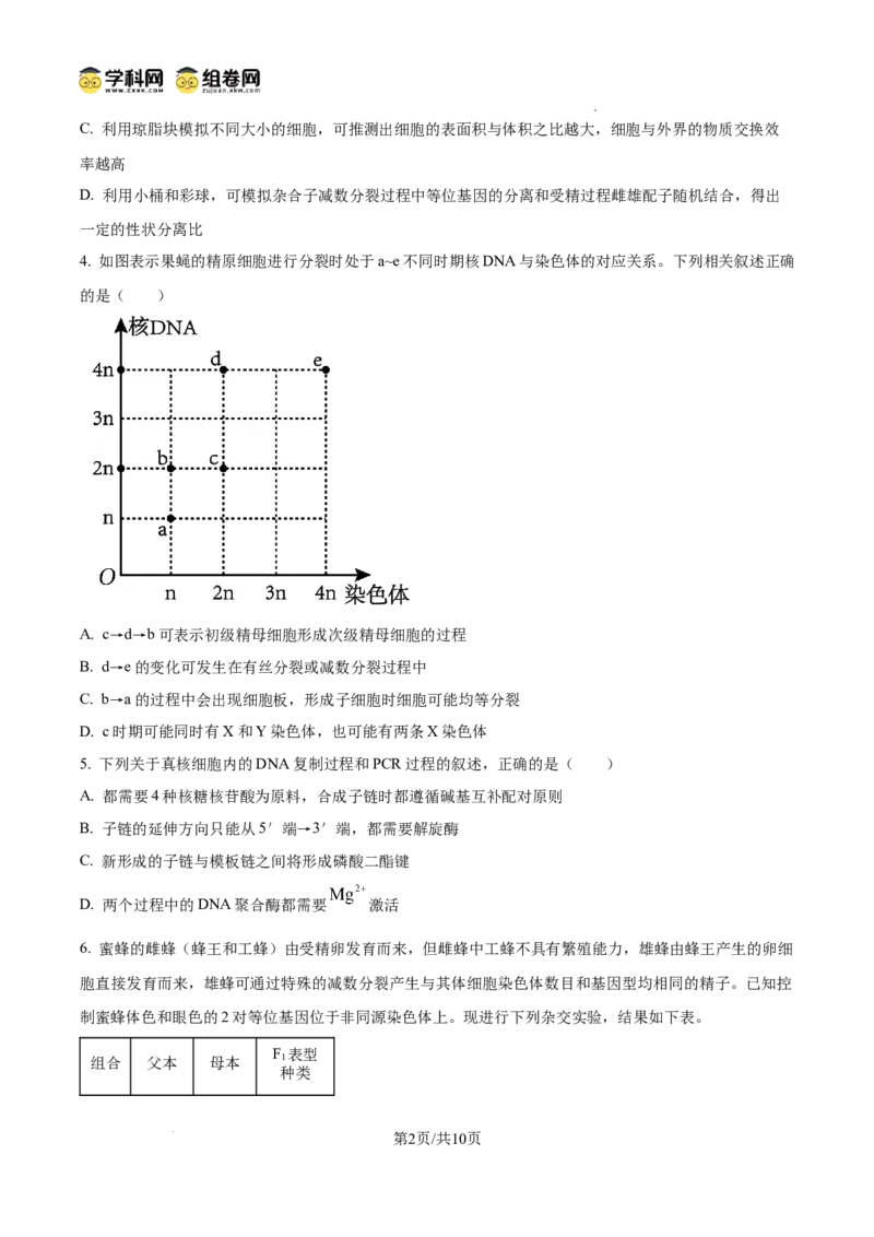 云南师范大学附属中学2024-2025学年高三下学期3月高考适应性月考卷（八）生物_2025年3月_250329云南师范大学附属中学2024-2025学年高三下学期3月高考适应性月考卷（八）（全科）