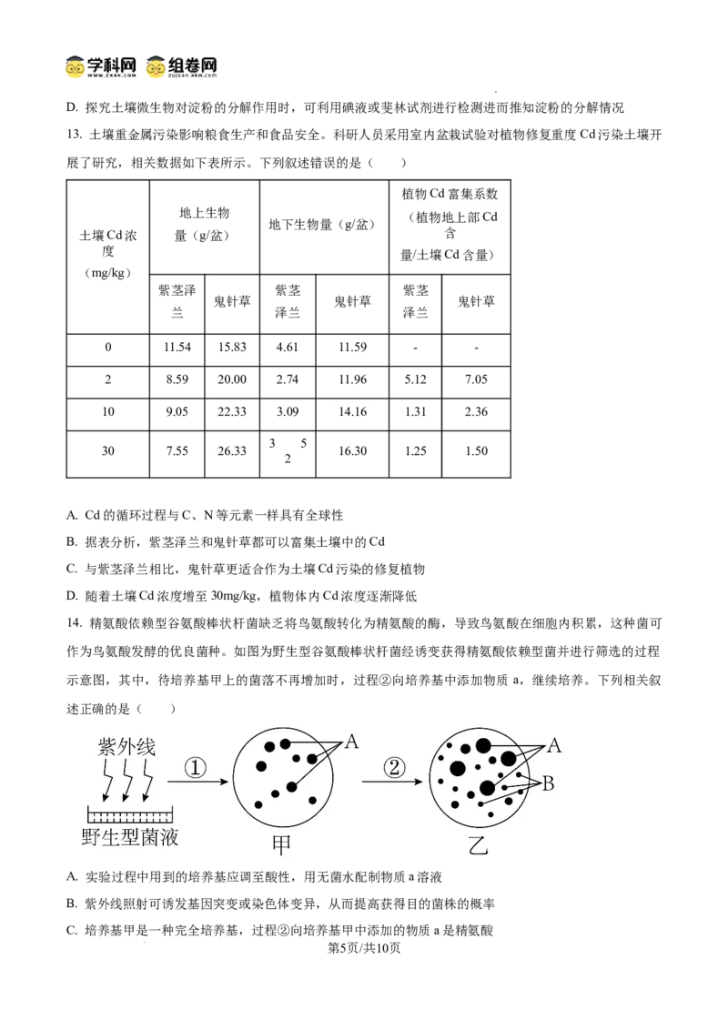 云南师范大学附属中学2024-2025学年高三下学期3月高考适应性月考卷（八）生物_2025年3月_250329云南师范大学附属中学2024-2025学年高三下学期3月高考适应性月考卷（八）（全科）