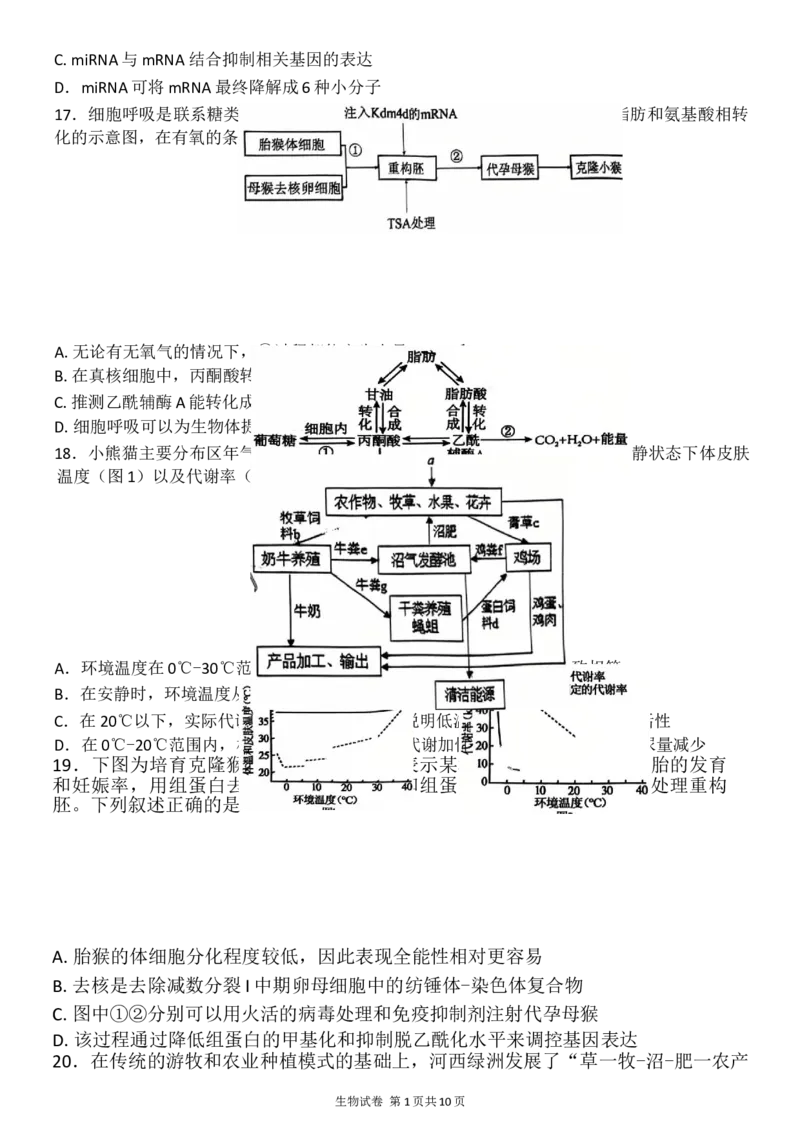 2025届黑龙江省齐齐哈尔市高三下学期二模考试生物试题（含解析）_2025年3月_250328黑龙江省齐齐哈尔市2025届高三下学期二模考试（全科）