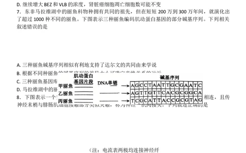 2025届黑龙江省齐齐哈尔市高三下学期二模考试生物试题（含解析）_2025年3月_250328黑龙江省齐齐哈尔市2025届高三下学期二模考试（全科）