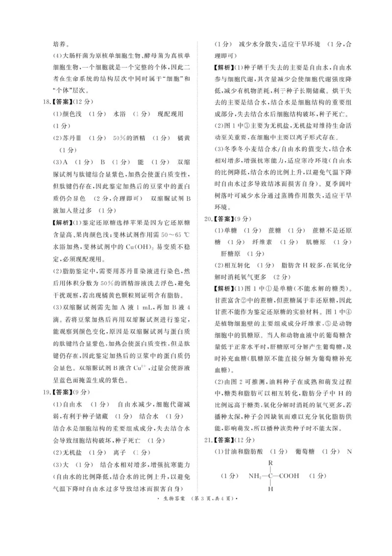 青桐鸣大联考2025-2026学年高一上学期10月月考生物试题（含答案）_1多考区联考试卷_251015青桐鸣高一10月大联考2028届普通高等学校招生全国统一考试