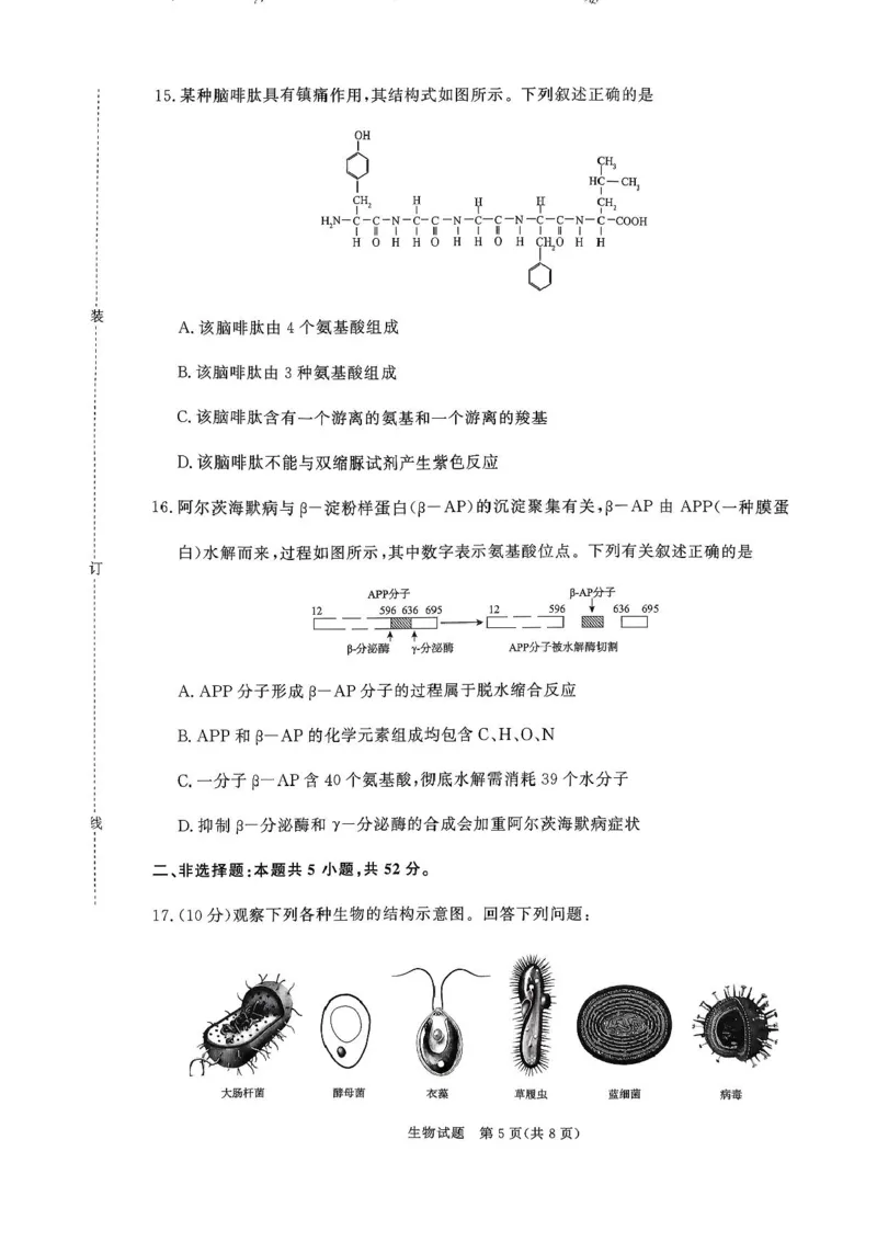 青桐鸣大联考2025-2026学年高一上学期10月月考生物试题（含答案）_1多考区联考试卷_251015青桐鸣高一10月大联考2028届普通高等学校招生全国统一考试