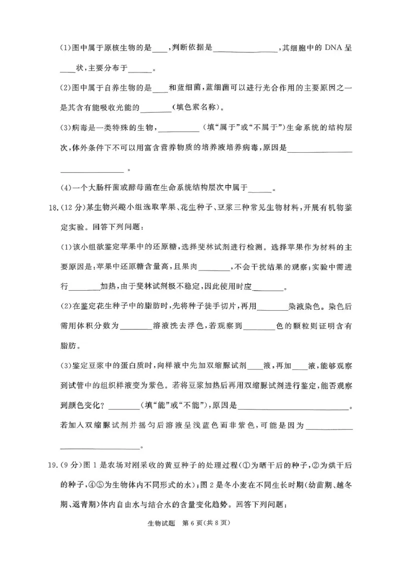 青桐鸣大联考2025-2026学年高一上学期10月月考生物试题（含答案）_1多考区联考试卷_251015青桐鸣高一10月大联考2028届普通高等学校招生全国统一考试