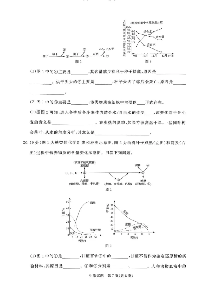 青桐鸣大联考2025-2026学年高一上学期10月月考生物试题（含答案）_1多考区联考试卷_251015青桐鸣高一10月大联考2028届普通高等学校招生全国统一考试