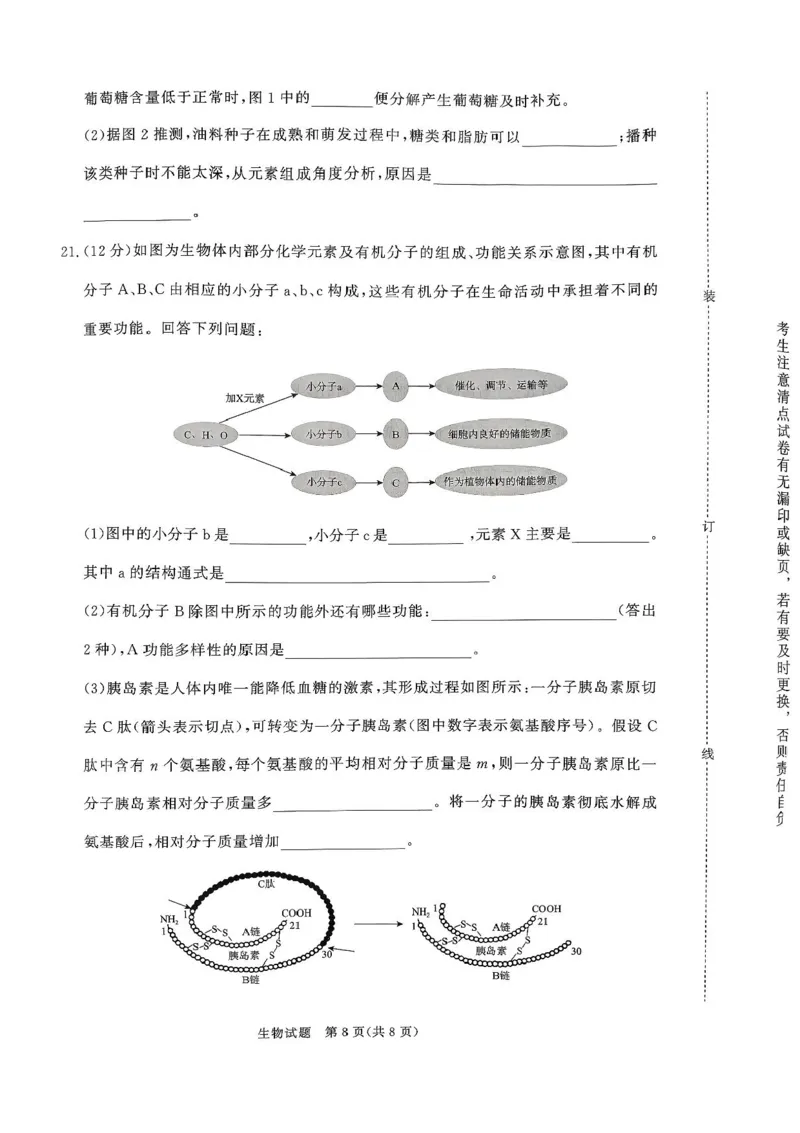青桐鸣大联考2025-2026学年高一上学期10月月考生物试题（含答案）_1多考区联考试卷_251015青桐鸣高一10月大联考2028届普通高等学校招生全国统一考试