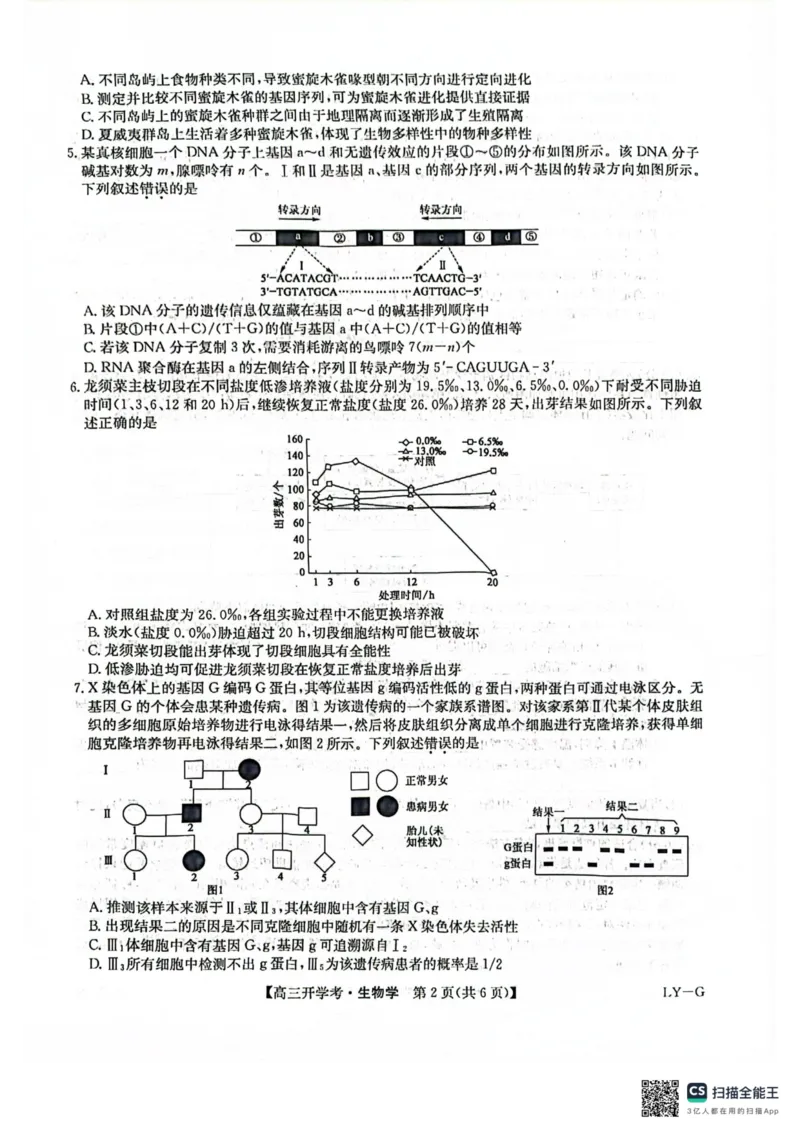 九师联盟2026届高三上学期9月开学联考生物_2025年9月_250910河南省九师联盟2026届高三上学期9月开学联考（全科）