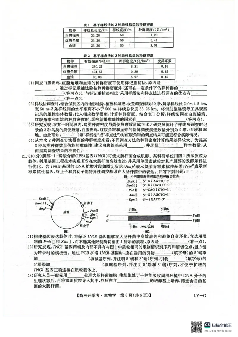 九师联盟2026届高三上学期9月开学联考生物_2025年9月_250910河南省九师联盟2026届高三上学期9月开学联考（全科）