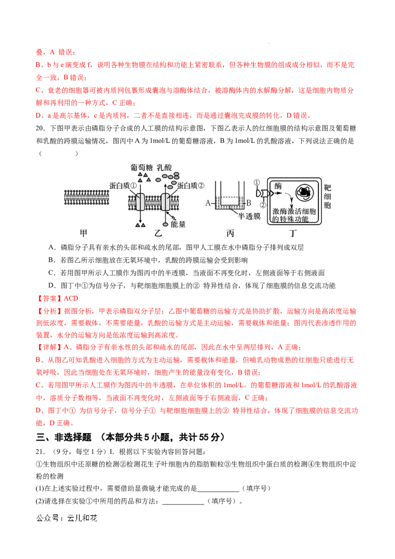高一生物期中模拟卷02（全解全析）（新高考通用）_1多考区联考试卷_1014高一期中模拟卷（新高考通用）黄金卷：2024-2025学年高一上学期期中模拟考试